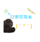 ももちゃん(犬)スタンプ（個別スタンプ：3）