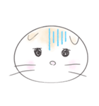 ran_stamp_sco（個別スタンプ：2）