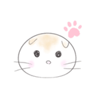 ran_stamp_sco（個別スタンプ：5）