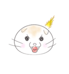 ran_stamp_sco（個別スタンプ：6）