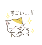 ねこさん 日常スタンプ（個別スタンプ：12）