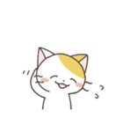 ねこさん 日常スタンプ（個別スタンプ：14）