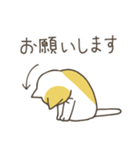 ねこさん 日常スタンプ（個別スタンプ：25）