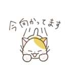 ねこさん 日常スタンプ（個別スタンプ：28）