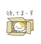 ねこさん 日常スタンプ（個別スタンプ：29）