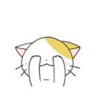 ねこさん 日常スタンプ（個別スタンプ：38）