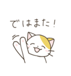 ねこさん 日常スタンプ（個別スタンプ：40）