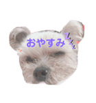 ココちゃんの気持ち〜日常編〜（個別スタンプ：3）