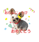 ココちゃんの気持ち〜日常編〜（個別スタンプ：5）