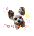 ココちゃんの気持ち〜日常編〜（個別スタンプ：7）