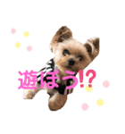 ココちゃんの気持ち〜日常編〜（個別スタンプ：8）