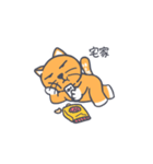 みかんは猫一粒（個別スタンプ：12）
