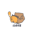 みかんは猫一粒（個別スタンプ：19）