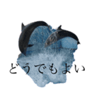 だるい海洋生物（個別スタンプ：2）