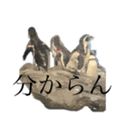 だるい海洋生物（個別スタンプ：4）