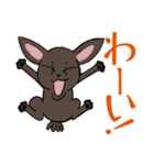プチブラっこ（個別スタンプ：6）