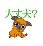 プチブラっこ（個別スタンプ：11）