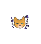 あまり要求しないねこ（個別スタンプ：3）