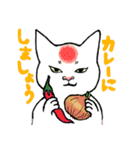 あまり要求しないねこ（個別スタンプ：6）
