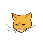 あまり要求しないねこ（個別スタンプ：11）