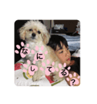 Hiryu's stumps！！！（個別スタンプ：5）