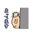 ニャンとも猫ちゃん 3（個別スタンプ：13）