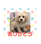 ららふうすけ（個別スタンプ：1）