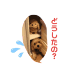 ららふうすけ（個別スタンプ：7）