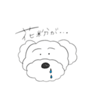 プードルです（個別スタンプ：9）