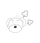 プードルです（個別スタンプ：12）