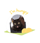 黒猫の姫ちゃん（個別スタンプ：2）