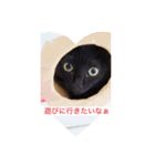 黒猫の姫ちゃん（個別スタンプ：3）