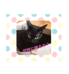 黒猫の姫ちゃん（個別スタンプ：5）