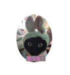 黒猫の姫ちゃん（個別スタンプ：8）