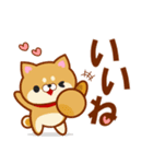 犬も猫も好き「わんにゃん」LINEスタンプ！（個別スタンプ：7）