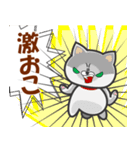 犬も猫も好き「わんにゃん」LINEスタンプ！（個別スタンプ：12）