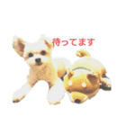 MIX犬小夏スタンプ（個別スタンプ：6）