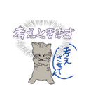 猫の日常(微カオス)（個別スタンプ：4）