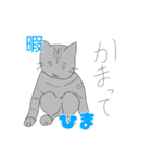 猫の日常(微カオス)（個別スタンプ：9）
