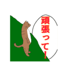 猫の日常(微カオス)（個別スタンプ：11）
