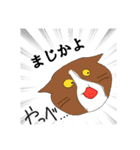 猫の日常(微カオス)（個別スタンプ：14）