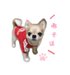 LIZちゃんスタンプ（個別スタンプ：1）