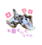 LIZちゃんスタンプ（個別スタンプ：8）