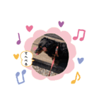 チャコりんのスタンプ（個別スタンプ：3）