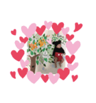 チャカちゃん（個別スタンプ：7）