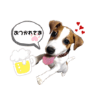 ラスクの日常❤︎3（個別スタンプ：1）