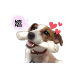 ラスクの日常❤︎3（個別スタンプ：4）
