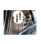 ラスクの日常❤︎3（個別スタンプ：6）