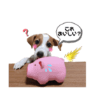 ラスクの日常❤︎3（個別スタンプ：7）