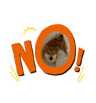 柴犬様スタンプ（個別スタンプ：4）